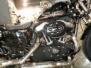 sporster