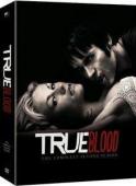 True Blood - Saison 2 - NEUF/DVD