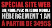 Spcial site web professionnel