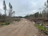 Ste-Apolline-de-Patton (Chaudire-Appalaches) : Terre  bois de 353 acres vaste territoire de chasse