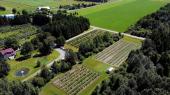 St-Romain (Estrie) : Ferme marachre de 48,76 acres avec tangs de pche, verger, bleuetire