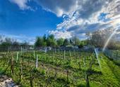 Terrain 6500pc pour agriculture ou levage  Laval Auteuil