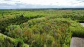 Bcancour (Centre-du-Qubec) : Terre  bois de 53 acres, rablire 900 entailles, potentiel d'exp.