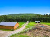 Chute-St-Philippe (Laurentides) : Domaine de 10 acres, maison de 2 cac, curie 7 box, pturages.