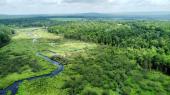 Ste-Anne-de-la-Rochelle (Estrie) : Terre  bois de 53 acres avec droit de construction, 