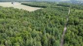 Cookshire-Eaton (Estrie) : Terre  bois  vendre de 32,31 acres avec droit de construction, chalet
