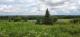 Ste-Justine (Chaudire-Appalaches) : Terre  bois 219 acres, chasse, ruisseau, potentiel acricole