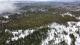 Val-Racine (Estrie) : Terre  bois de 90 acres, excellent pour la chasse, ruisseau, chemin forestier