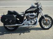Harley 1200 roadster
