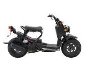 honda ruckus 50 cc 2011